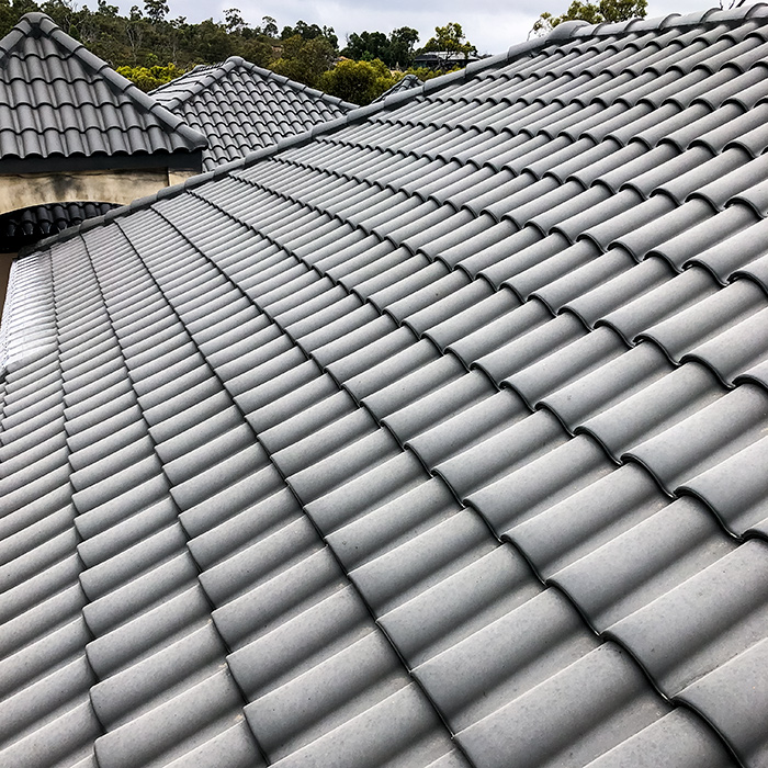 Mesh protection on a Swiss tiled roof 
